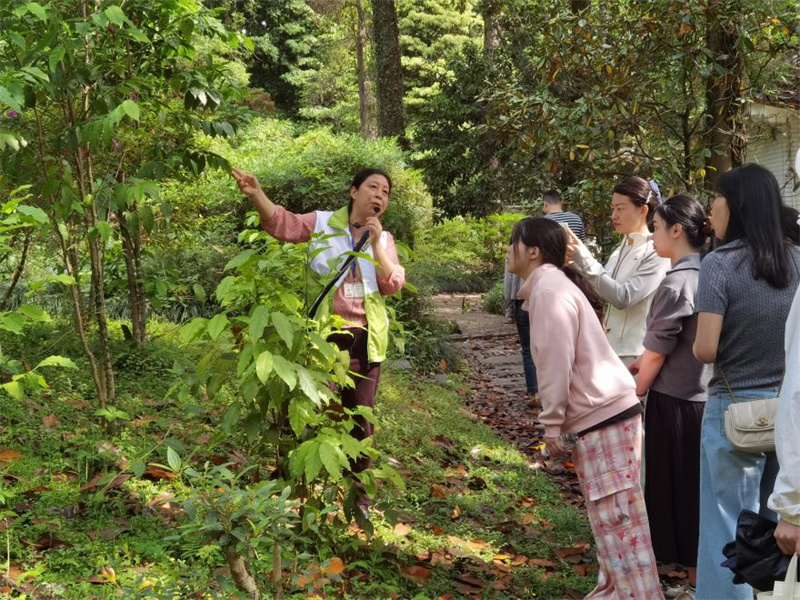 植物園工作人員為青年團員們介紹珍稀植物的莖葉.jpg 植物園工作人員為青年團員們介紹珍稀植物的莖葉.jpg